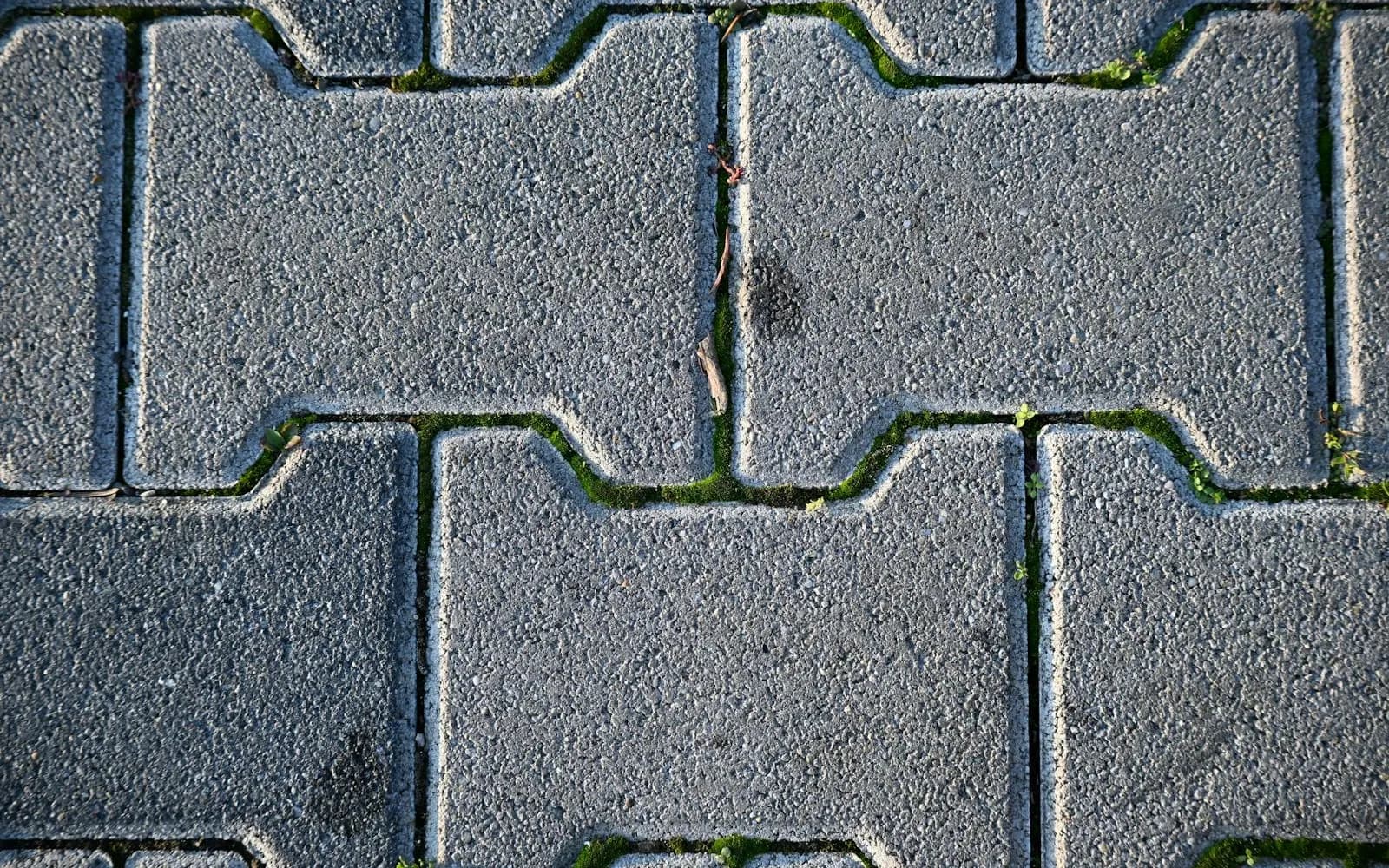 Mossy interlocking pavers before pressure washing