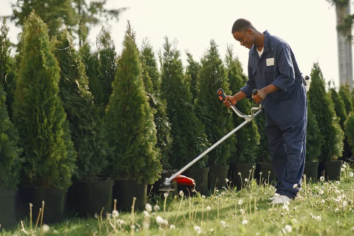 Yard maintenance — fresh string-trimmed edges