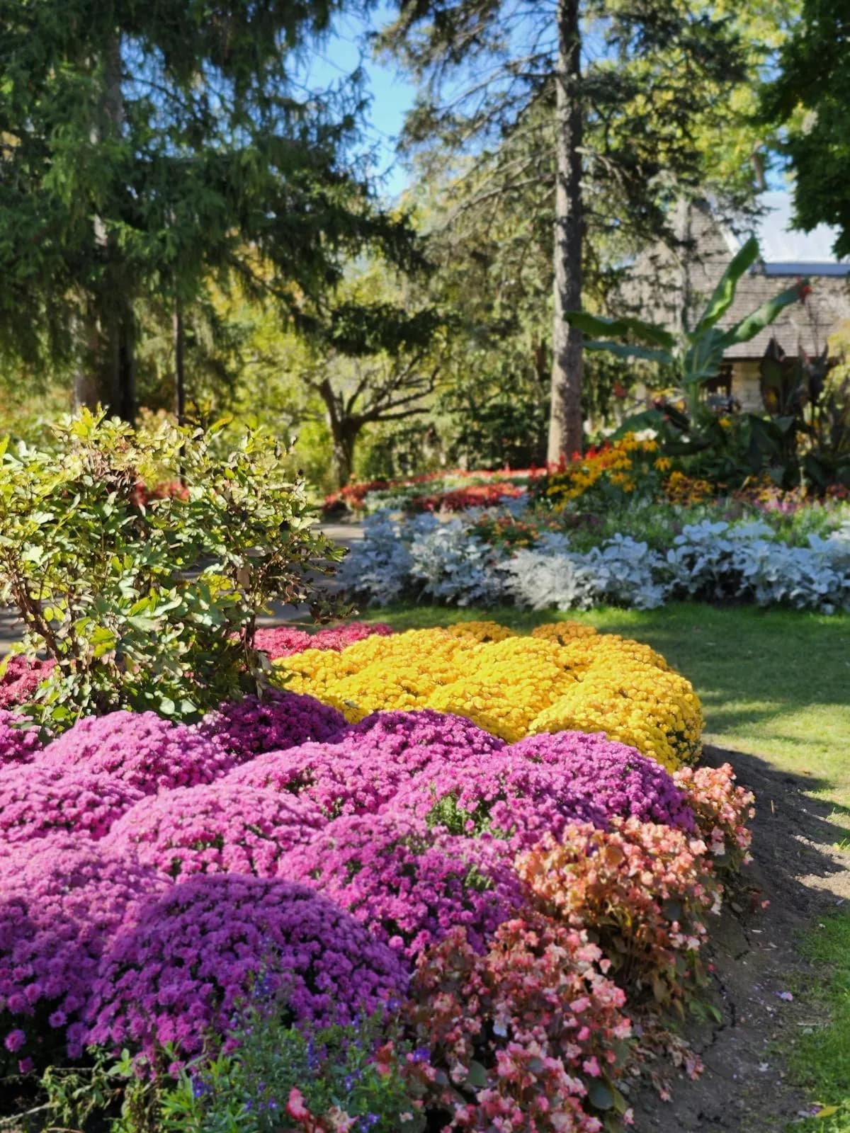 Flowerbed cleanup and edging